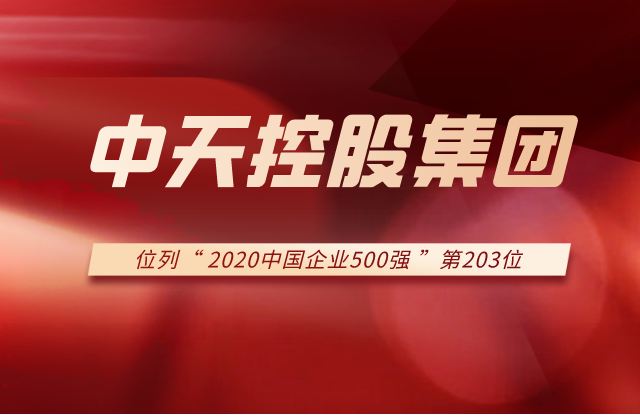 控股集团列2020中国企业500强第203位！